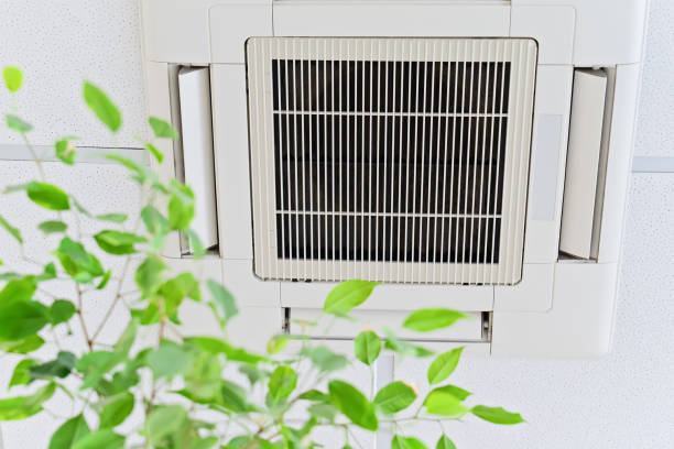 Best Home Air Vent Cleaning  in Peach Lake, NY